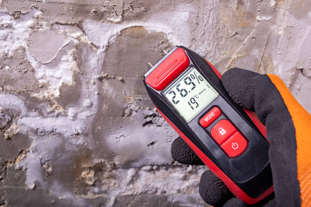 Best Mold Remediation Experts  in Eudora, AR