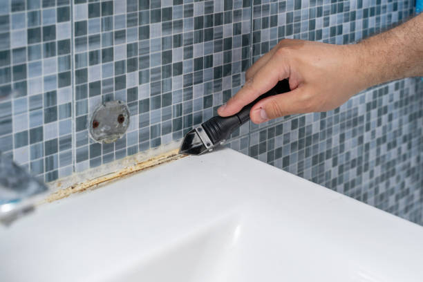 Best Mold Testing  in Eudora, AR